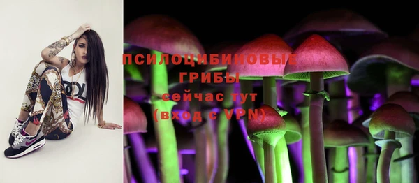 гашишное масло Лабытнанги