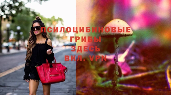 СК Лагань
