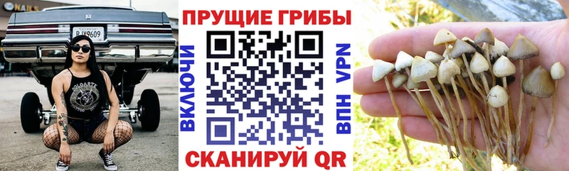 хочу   Сочи  darknet какой сайт  Галлюциногенные грибы прущие грибы  KRAKEN ССЫЛКА 