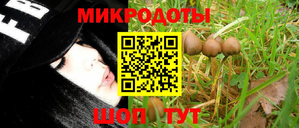Псилоцибиновые грибы Magic Shrooms  Вход с VPN  Сочи  хочу   Псилоцибиновые грибы MAGIC MUSHROOMS 
